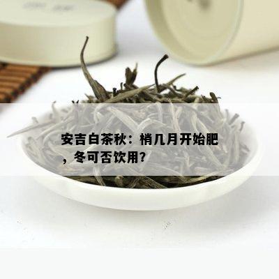 安吉白茶秋：梢几月开始肥，冬可否饮用？