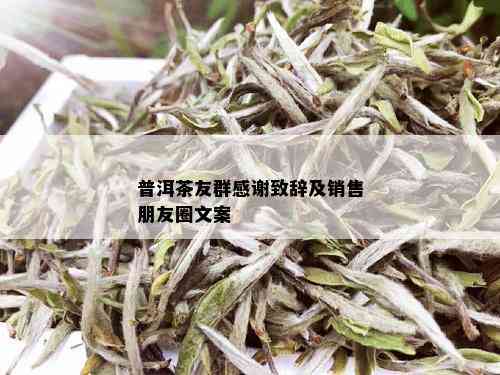 普洱茶友群感谢致辞及销售朋友圈文案