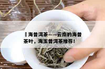 赿海普洱茶——云南的海普茶叶，海玉普洱茶推荐！