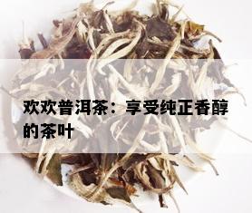 欢欢普洱茶：享受纯正香醇的茶叶