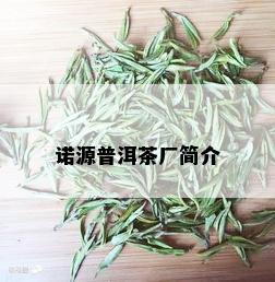 诺源普洱茶厂简介