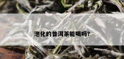 泡化的普洱茶能喝吗？