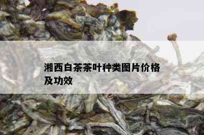 湘西白茶茶叶种类图片价格及功效