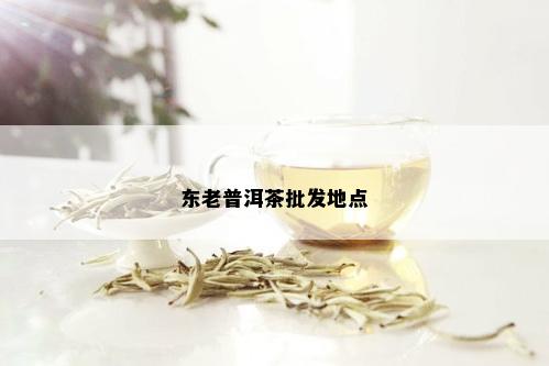 东老普洱茶批发地点