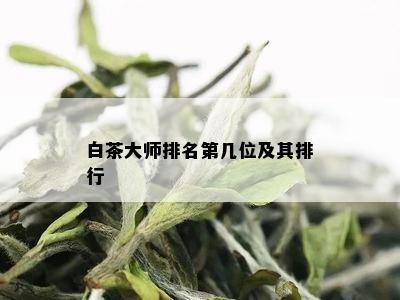 白茶大师排名第几位及其排行