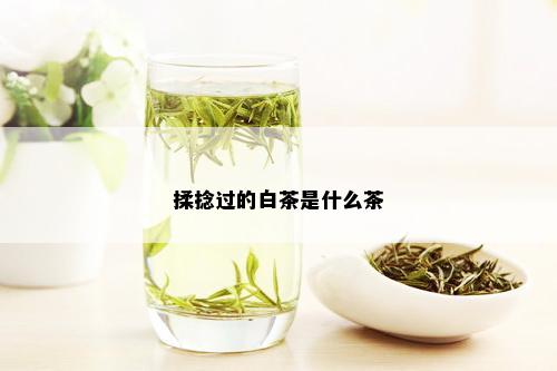 揉捻过的白茶是什么茶