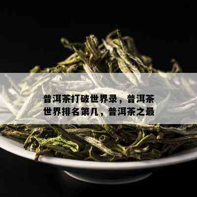 普洱茶打破世界录，普洱茶世界排名第几，普洱茶之最