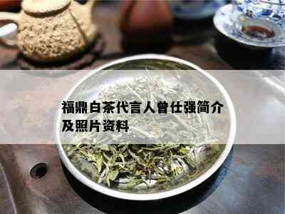 福鼎白茶代言人曾仕强简介及照片资料