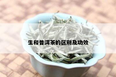 生和普洱茶的区别及功效