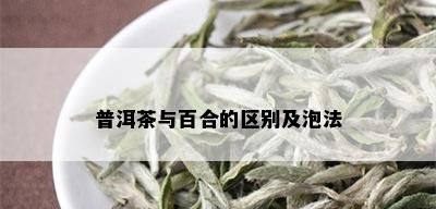 普洱茶与百合的区别及泡法