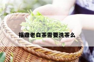 福鼎老白茶需要洗茶么