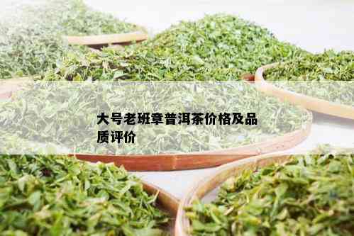 大号老班章普洱茶价格及品质评价