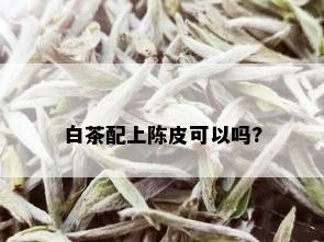 白茶配上陈皮可以吗?