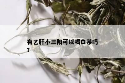 有乙肝小三阳可以喝白茶吗？