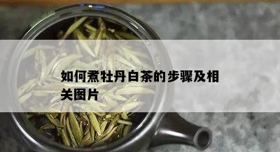 如何煮牡丹白茶的步骤及相关图片