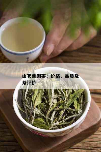 山茗普洱茶：价格、品质及茶评价