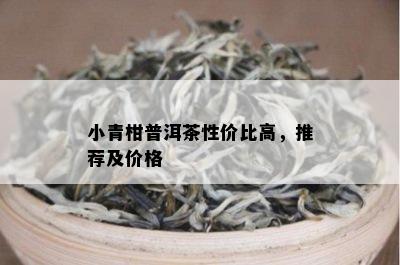 小青柑普洱茶性价比高，推荐及价格