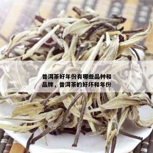 普洱茶好年份有哪些品种和品牌，普洱茶的好坏和年份