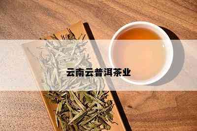 云南云普洱茶业