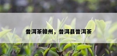 普洱茶赣州，普洱县普洱茶