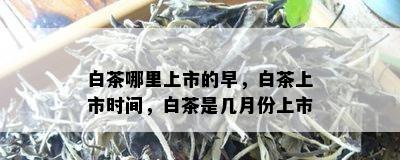 白茶哪里上市的早，白茶上市时间，白茶是几月份上市