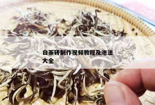 白茶砖制作视频教程及泡法大全