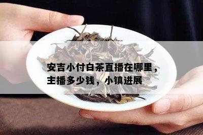 安吉小付白茶直播在哪里，主播多少钱，小镇进展