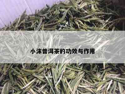 小沫普洱茶的功效与作用