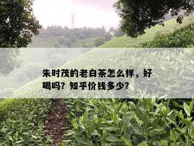 朱时茂的老白茶怎么样，好喝吗？知乎价钱多少？