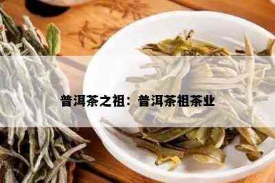 普洱茶之祖：普洱茶祖茶业