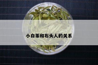 小白茶和石头人的关系