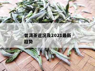 普洱茶近况及2021最新趋势