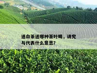 送白茶送哪种茶叶喝，讲究与代表什么意思？