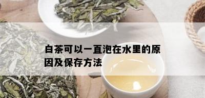 白茶可以一直泡在水里的原因及保存方法