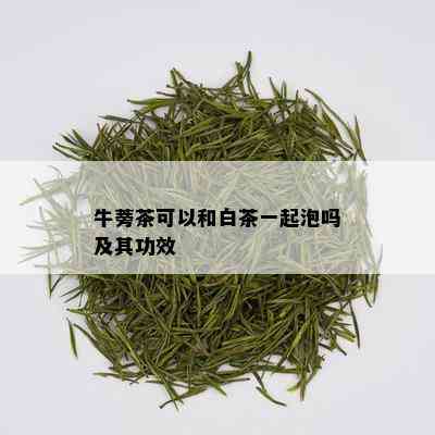 牛蒡茶可以和白茶一起泡吗及其功效