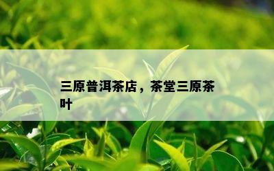 三原普洱茶店，茶堂三原茶叶