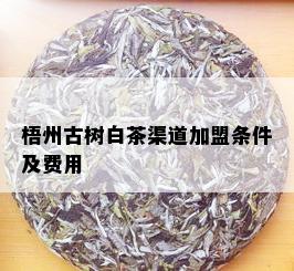 梧州古树白茶渠道加盟条件及费用