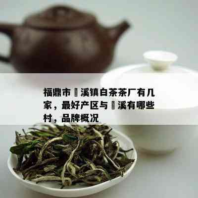 福鼎市磻溪镇白茶茶厂有几家，更好产区与磻溪有哪些村，品牌概况