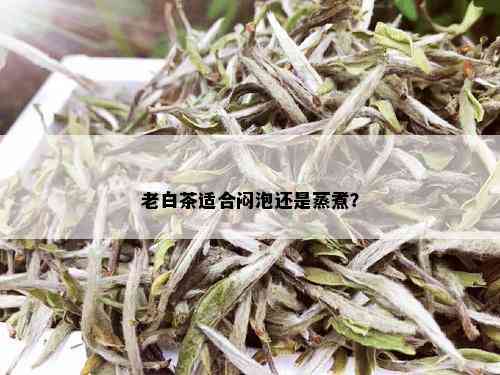 老白茶适合闷泡还是蒸煮？