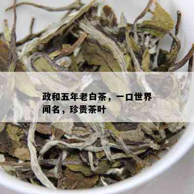 政和五年老白茶，一口世界闻名，珍贵茶叶