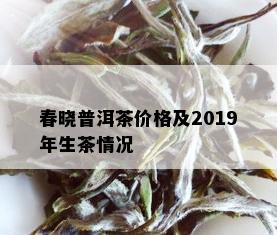 春晓普洱茶价格及2019年生茶情况