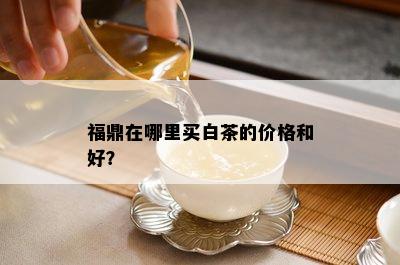 福鼎在哪里买白茶的价格和好？