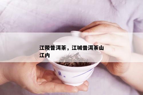 江陵普洱茶，江城普洱茶山江内