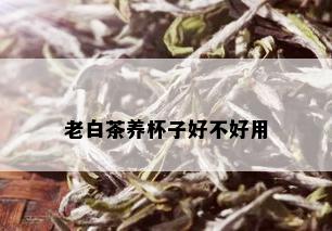 老白茶养杯子好不好用