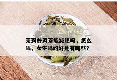 茉莉普洱茶能减肥吗，怎么喝，女生喝的好处有哪些？