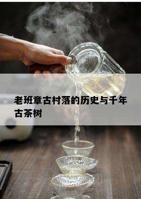 老班章古村落的历史与千年古茶树