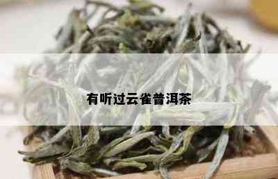 有听过云雀普洱茶