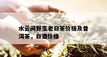 水云间野生老白茶价格及普洱茶，白价格