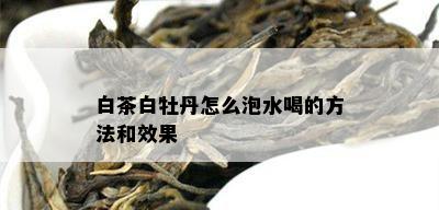 白茶白牡丹怎么泡水喝的方法和效果