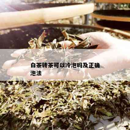 白茶砖茶可以冷泡吗及正确泡法